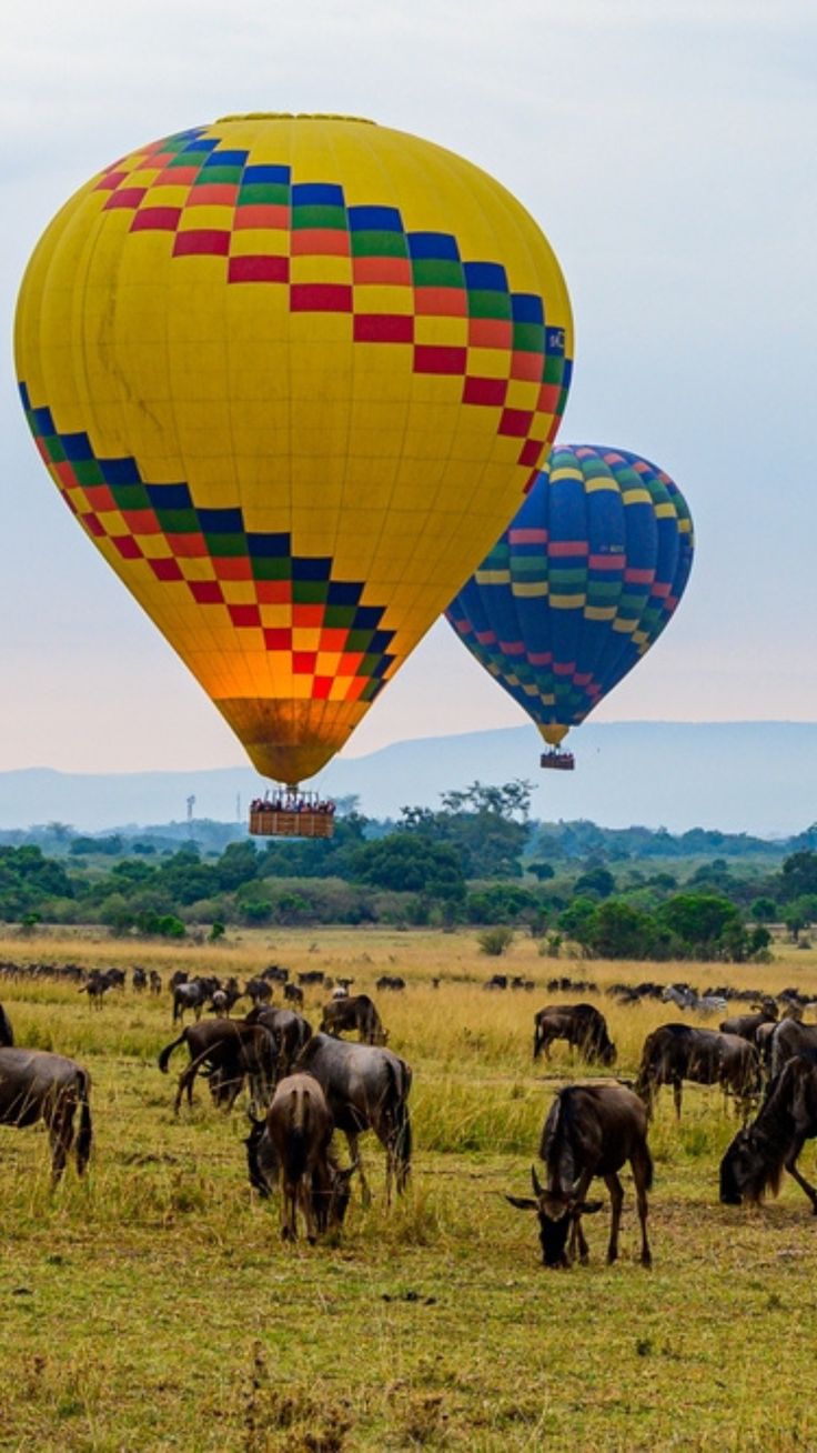 Hot Air Balloon Safari